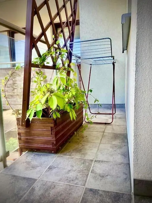Apartament Grzegorzecka Centrum Krakow Apartment